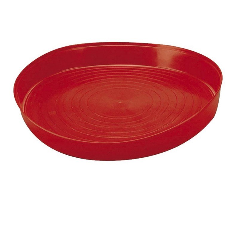 Plato de comida para 1ª edad