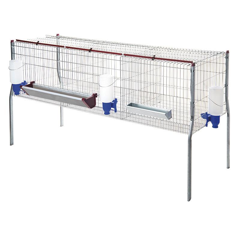 Jaula de pollos de engorde - 3 departamentos