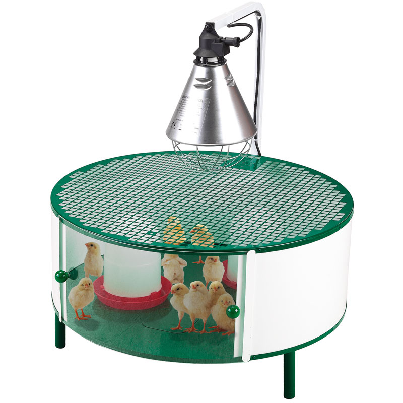 Nacedora de aves con calefacción