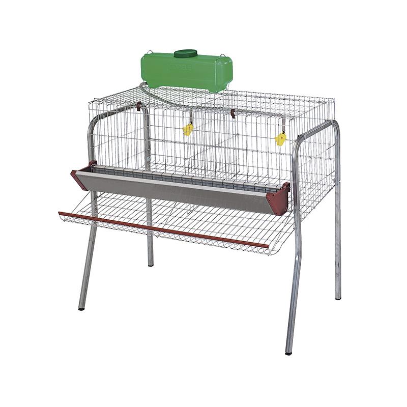 Batería de ponedoras - 2 departamentos