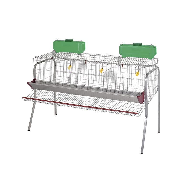 Batería de ponedoras - 3 departamentos