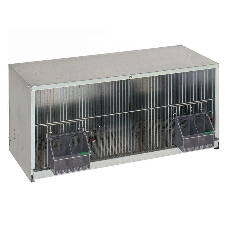 Jaula Exposición Palomas 2 Dpt. 1 m.