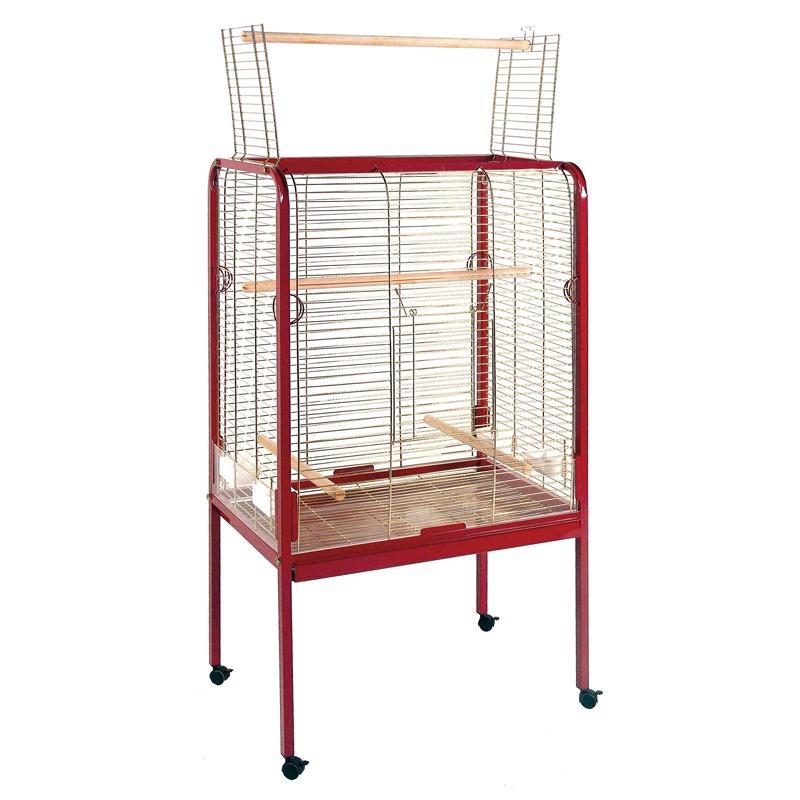 Jaula loro Grande Recta