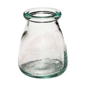 Bebedero Vídrio Jaula Pájaros