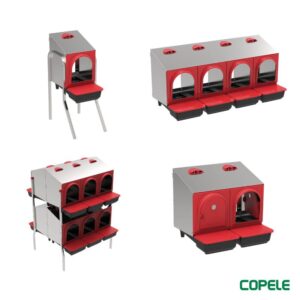 Laying Nests Platinum