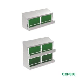 Coletavi laying nests