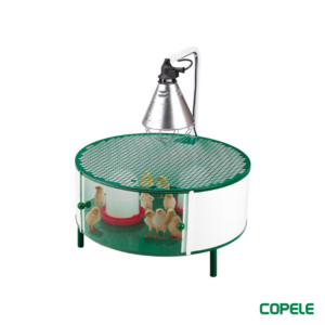 Nacedora de aves redondas