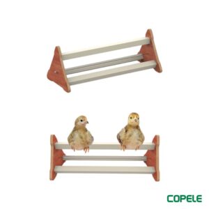 Aseladero de suelo para pollitos