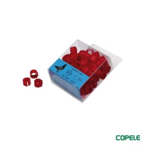 Anneaux en plastique pour pigeons