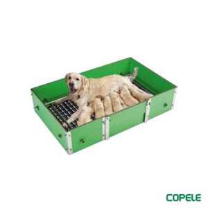 Paridera para perros